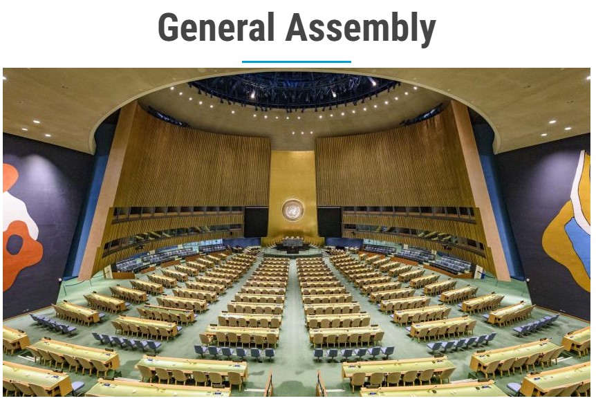 The United Nations General Assembly 
